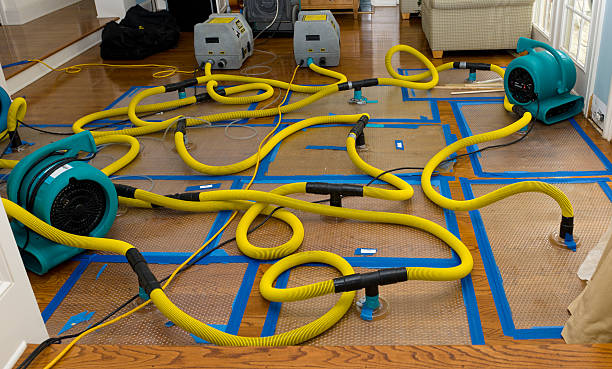 Professional Basement Flood Cleanup technician working in Trimble, TN